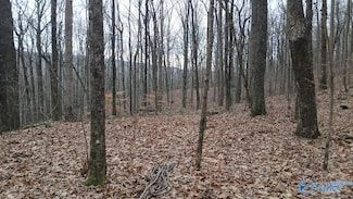 14/3 acres Black Hawk Rd, Gurley, AL 35748