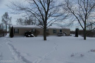 13685 18 Mile Rd, Gowen, MI 49326