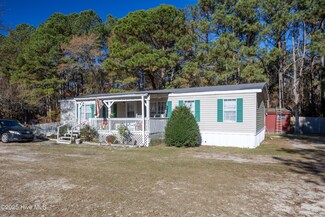 100 Mustang Ln, Godwin, NC 28344