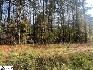 00 Charlotte's Rd, Clinton, SC 29325