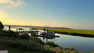 0 Pelican Perch Rd, Townsend, GA 31331