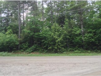 41 Mazzilli Dr, Piermont, NH 03779