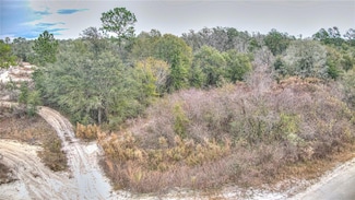 34023 Coral Rock Dr, Webster, FL 33597