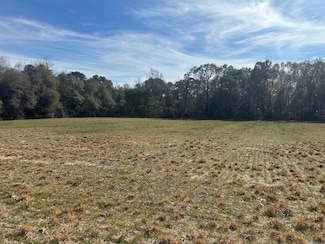 0 Lee St, Luverne, AL 36049