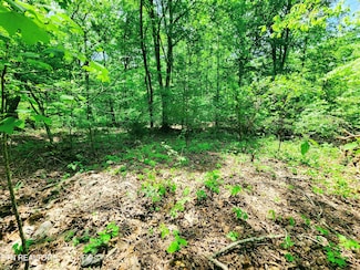 0 Evergreen Cove Unit 1285622, Kingston, TN 37763
