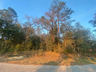 Lot 28 SW 206th Cir, Dunnellon, FL 34431