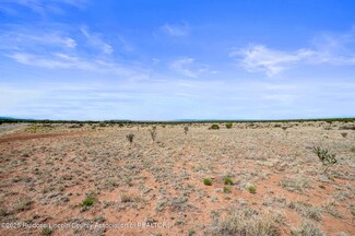 L313 Windmill Ranch, Ancho, NM 88301