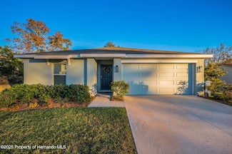 5324 Dellbrook Ave, Spring Hill, FL 34608