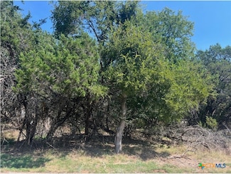 Lot 0010 Teakwood Loop, Morgan's Point Resort, TX 76513