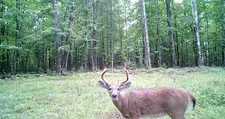 Lot 4 off Hwy 77 Hwy 77, Hayward, WI 54843