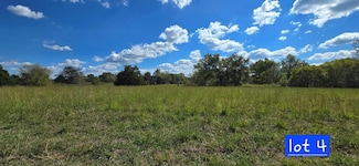 Lot 4 Austin Bottom Rd, Baxter, TN 38544