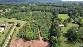 1635-A Alabama 36 E, Hartselle, AL 35640