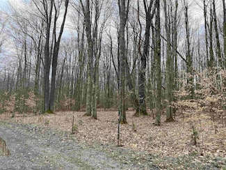 lot 42 Bobcat Rd, Davis, WV 26260