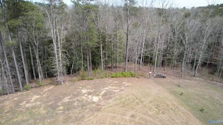 101 & 102 Sipsey Overlook Rd, Double Springs, AL 35553