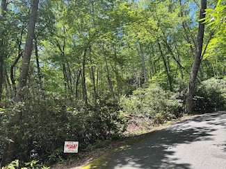 TBD Parks Mountain Dr Unit 222, Jonas Ridge, NC 28657