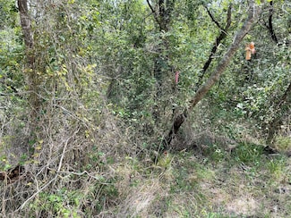 TBD County Road 1524 Unit U1, Morgan, TX 76671