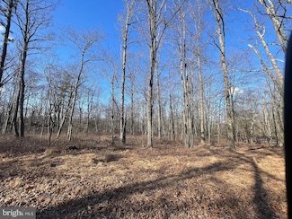 572 Chamonix Ln, Zion Grove, PA 17985