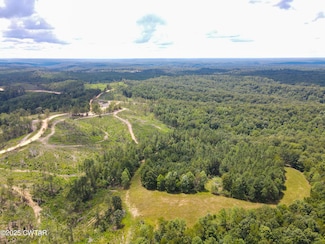 Tract 2 Ray Miller Rd, Sugar Tree, TN 38380