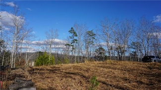 0 Muscadine Ln Unit 7586694, Chatsworth, GA 30705