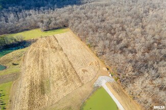 4868 Foxtail Ln 0 Ln, Tamaroa, IL 62888