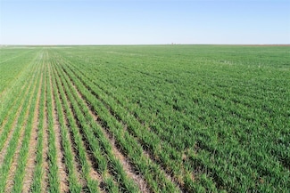 TBD County Rd 81 S, Vernon, TX 76384