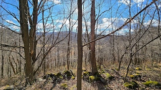 0 27 Acres Big Spring Elk Unit 25-1445, Slatyfork, WV 26291