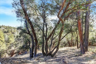 16428 Patricia Way, Grass Valley, CA 95949