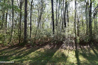 902 River Reach Ct, Fairfield Harbour, NC 28560