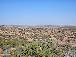 0 N6448, St. Johns, AZ 85936