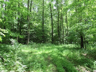0 Dooms Chapel Rd, Symsonia, KY 42082