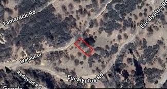 0 Walnut Dr Unit SR25145729, Cedar Glen, CA 92352