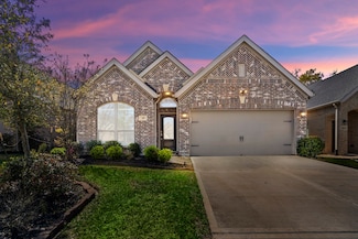 229 N Bearkat Ct, Montgomery, TX 77316