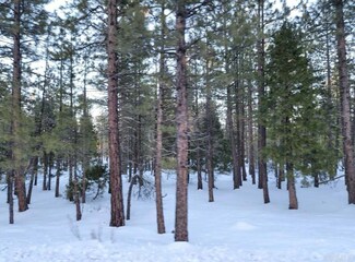0 Glacier Dr Lot 12 Unit PTP2405604, Alturas, CA 96101