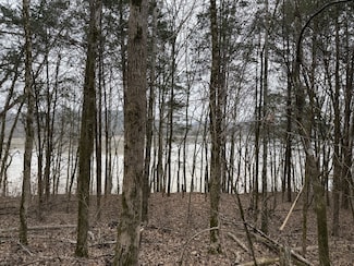 0 Cook Ln Unit RTC3054661, Gainesboro, TN 38562