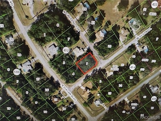 2917 W Elgin Place, Dunnellon, FL 34434