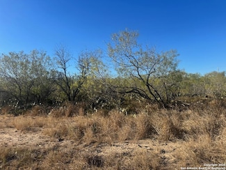 LOTS 2451-2452 Avenue J, Christine, TX 78012