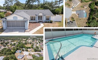 5234 W Boatwright Ct, Lecanto, FL 34461