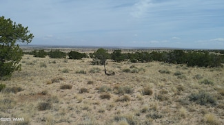 0 St John's Unit 255345, St. Johns, AZ 85936