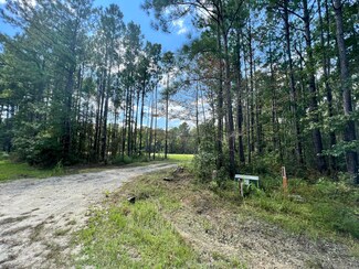 1025 Bridle Gate Trail, Awendaw, SC 29429