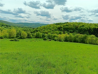 785 Kiff Brook Rd, Kortright, NY 13739