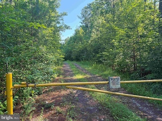 0 Bannister Town Road (Tract Dtof Louisa), Louisa, VA 23093