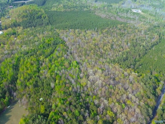 89 Acre County Road 8, Piedmont, AL 36272