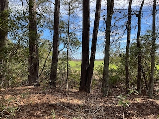 6005 Old Salkehatchie Rd Unit Parcel F, Early Branch, SC 29916