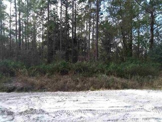 10400 Carpenter Ave, Hastings, FL 32145