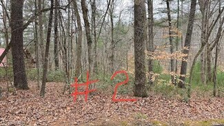 Lot 2 Reserve Trail, Stuart, VA 24171