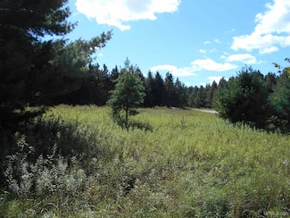 TBD County Road 436 Rd, Gulliver, MI 49835