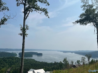 48 Treetop Dr, Guntersville, AL 35976