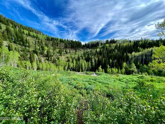 0 Highway 39 Unit 12100509, Huntsville, UT 84317