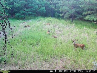 2845 Moores Mill Rd, Rougemont, NC 27572