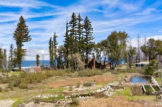 335 Braemoor Dr, Santa Cruz, CA 95060